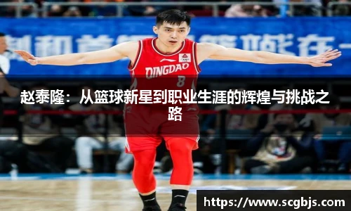 赵泰隆：从篮球新星到职业生涯的辉煌与挑战之路